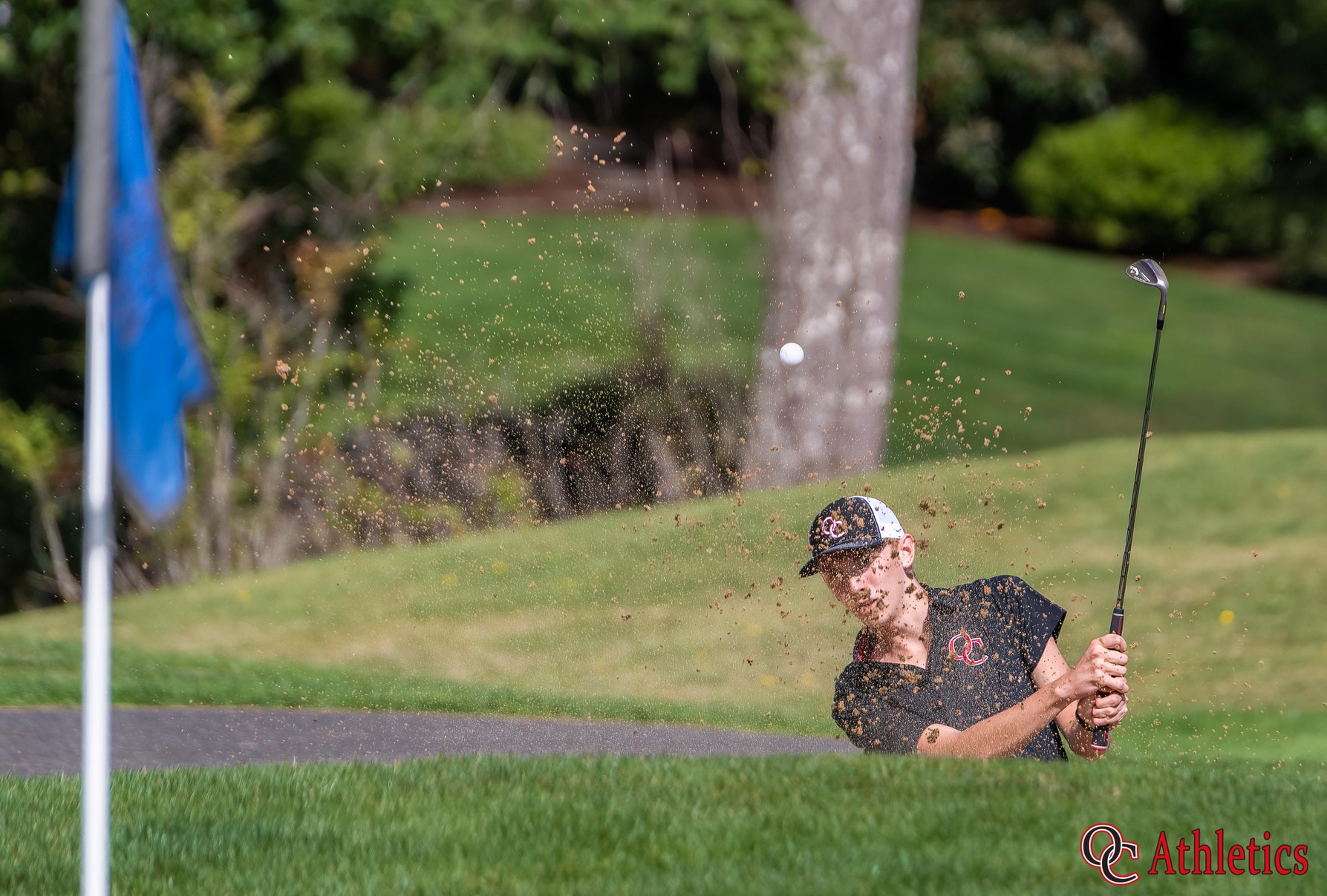 Logan Jacobson of Olympic College hitting a sand shot out of a green side bunker.